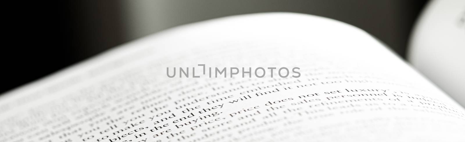 Macro closeup of an open book, education and study by Anneleven