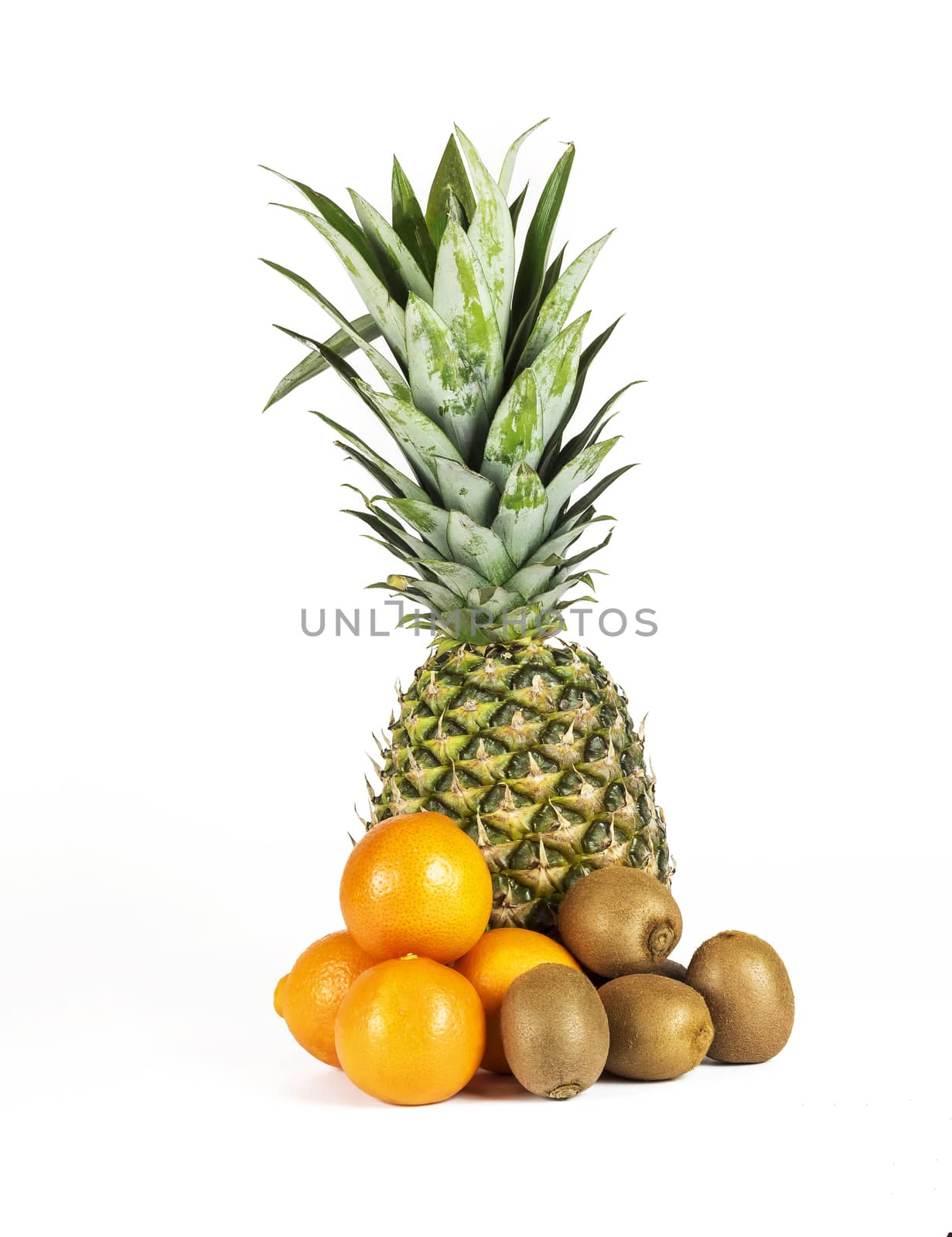 On a white background there is a large ripe pineapple and a number of mandarins and kiwis lie nearby