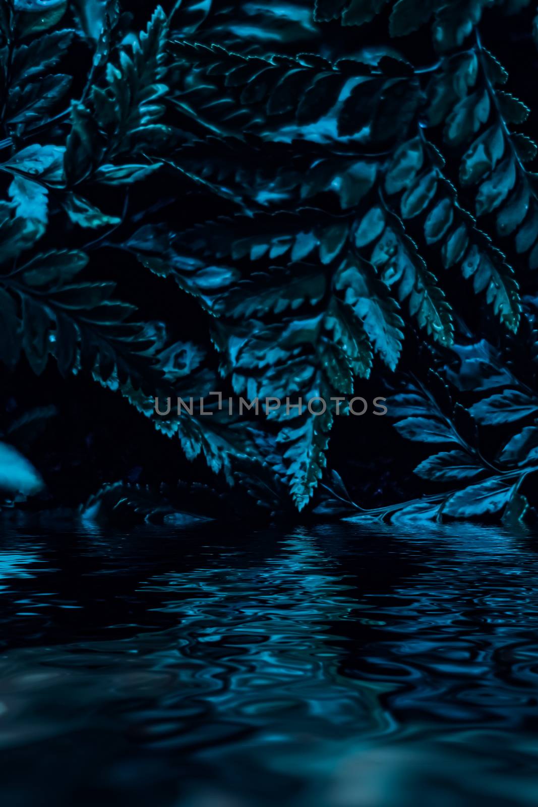 Blue plant leaves and water at night as surreal botanical background, minimal design backdrop