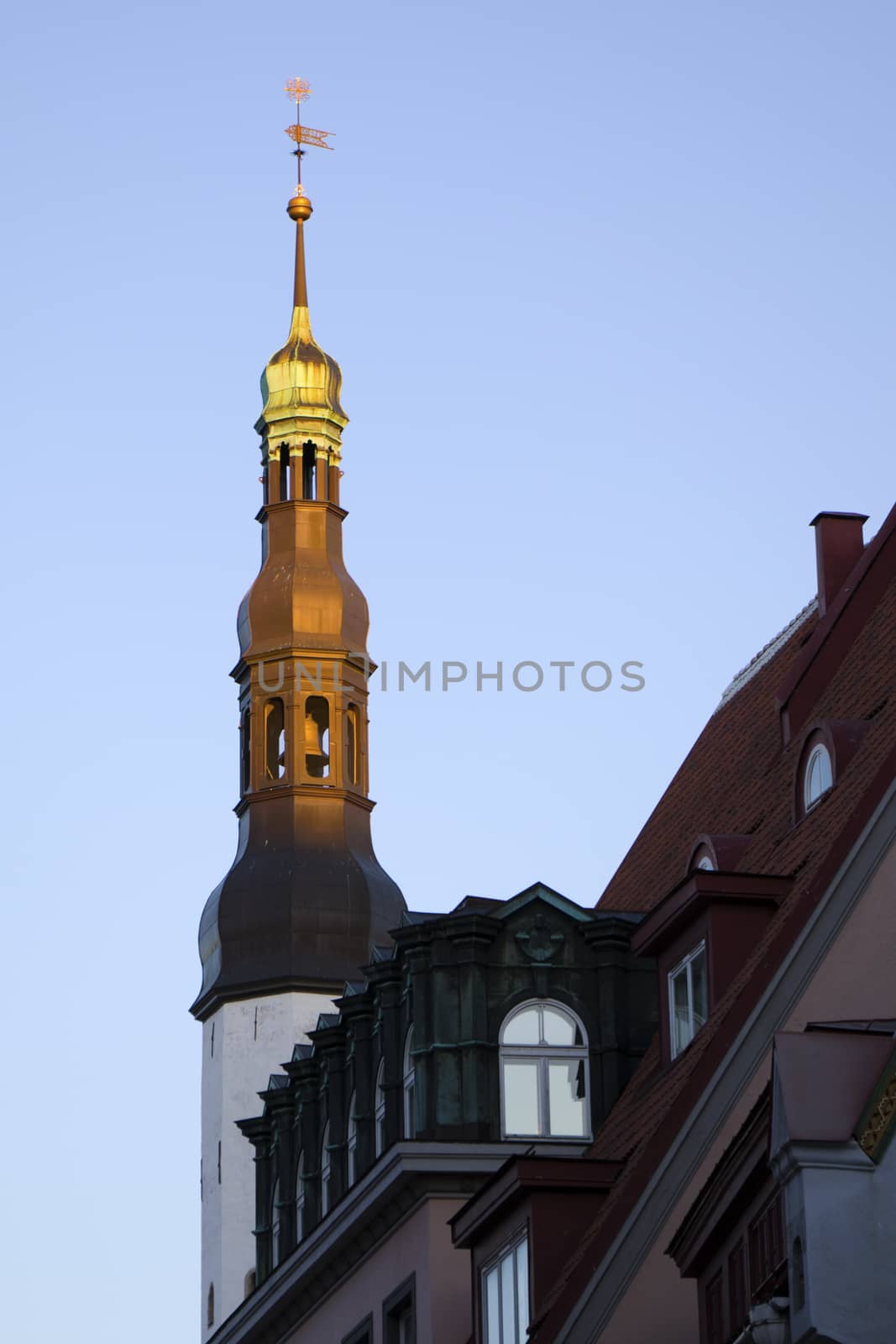Buildings and architecture exterior view in old town of Tallinn, colorful old style houses roofs. by Taidundua
