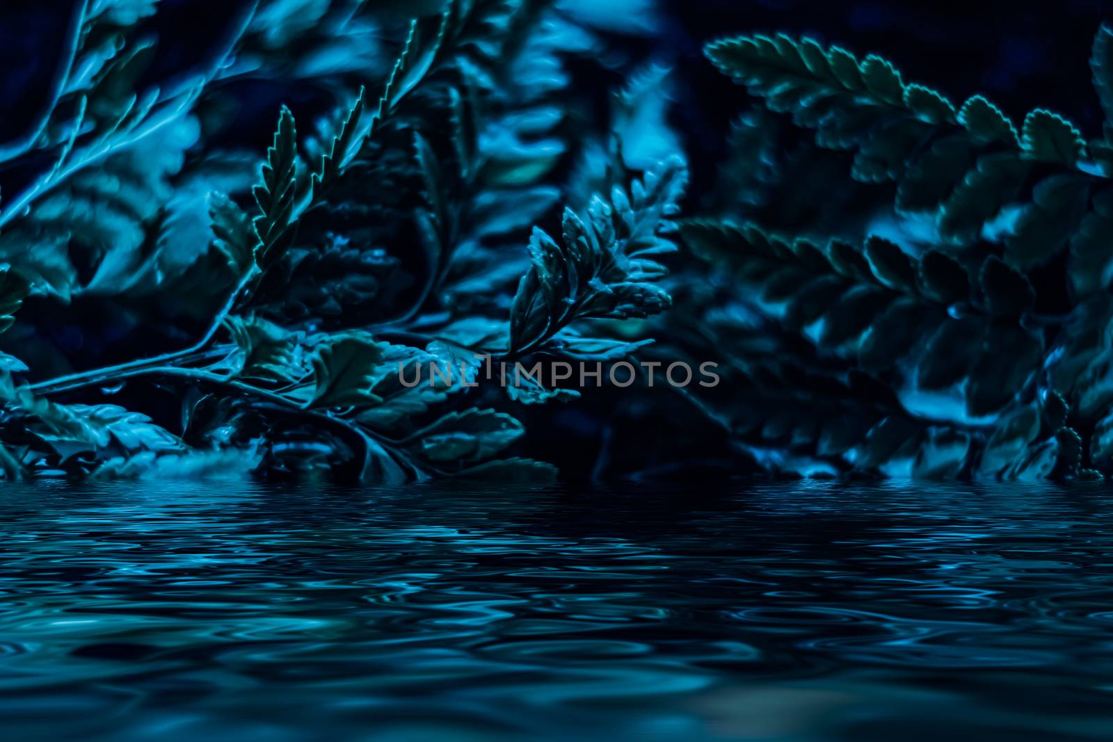 Blue plant leaves and water at night as surreal botanical background, minimal design backdrop