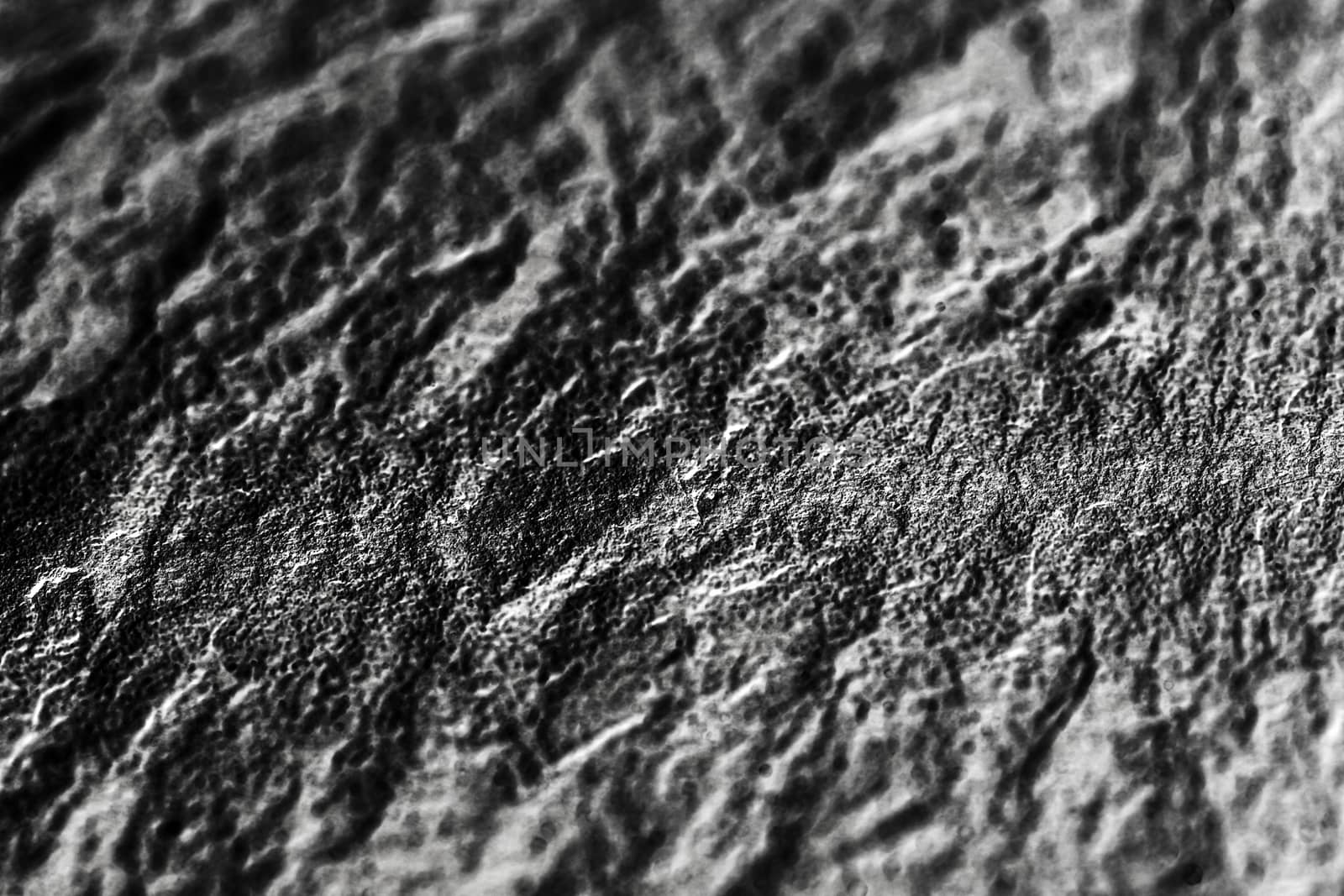 Light stone texture as abstract background, design material and textured surfaces