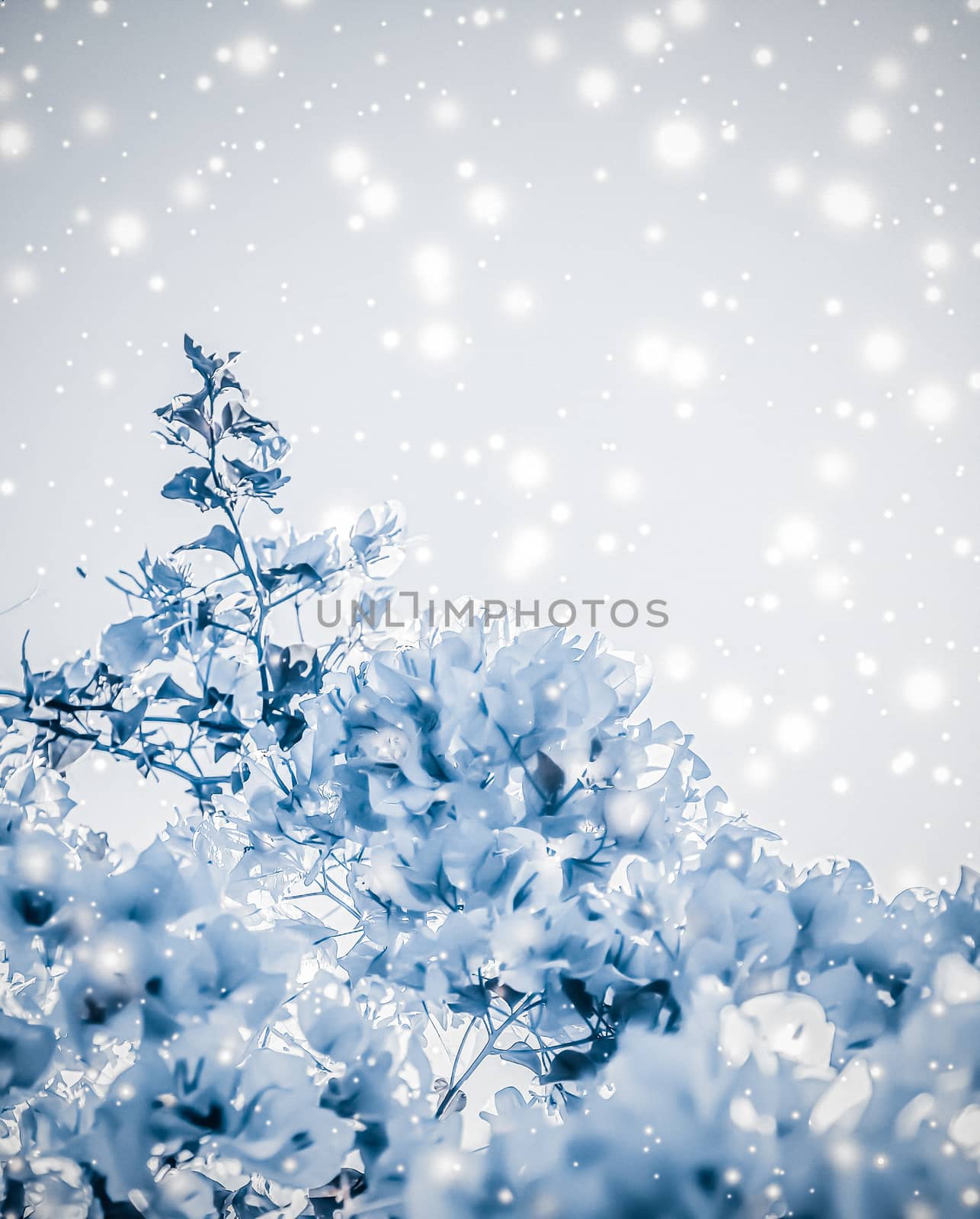 Christmas, New Years blue floral nature background, holiday card by Anneleven