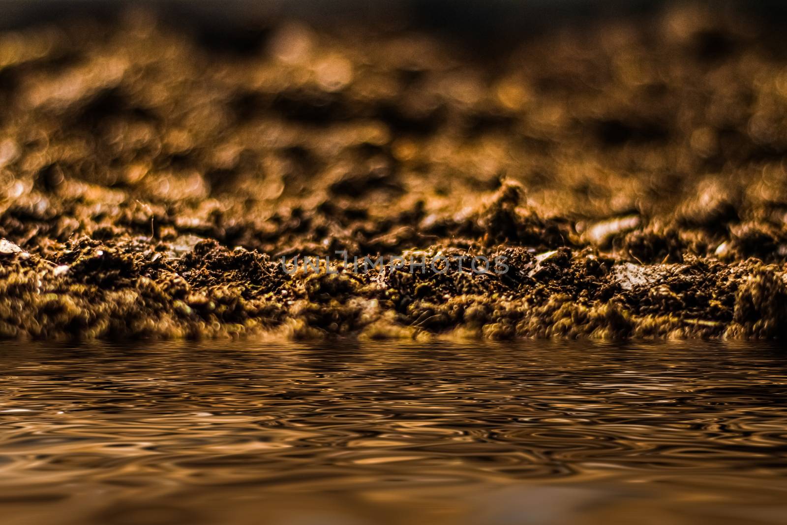 Earth ground and water texture as background, nature and environmental backdrop