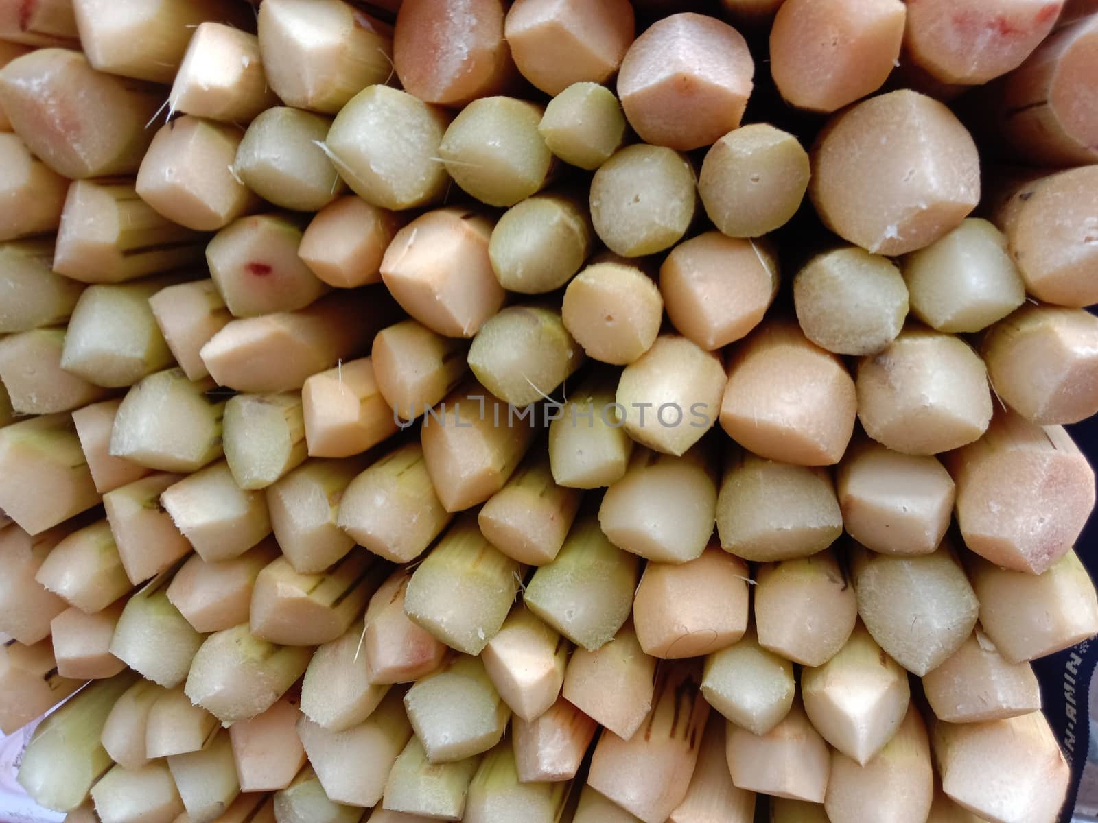 yellow colored tasty and healthy sugar cane stock