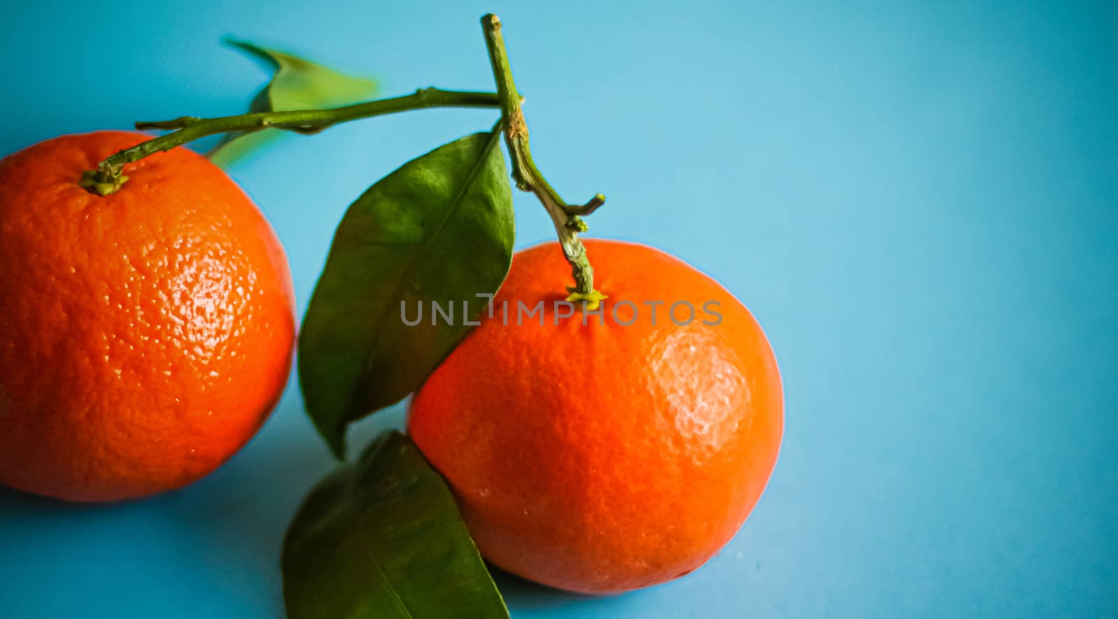 Citrus, raw and vegan concept - Fresh natural juicy tangerines, clementine fruit dessert for healthy nutrition diet, organic garden food, mandarin orange in vintage style for agriculture brand design