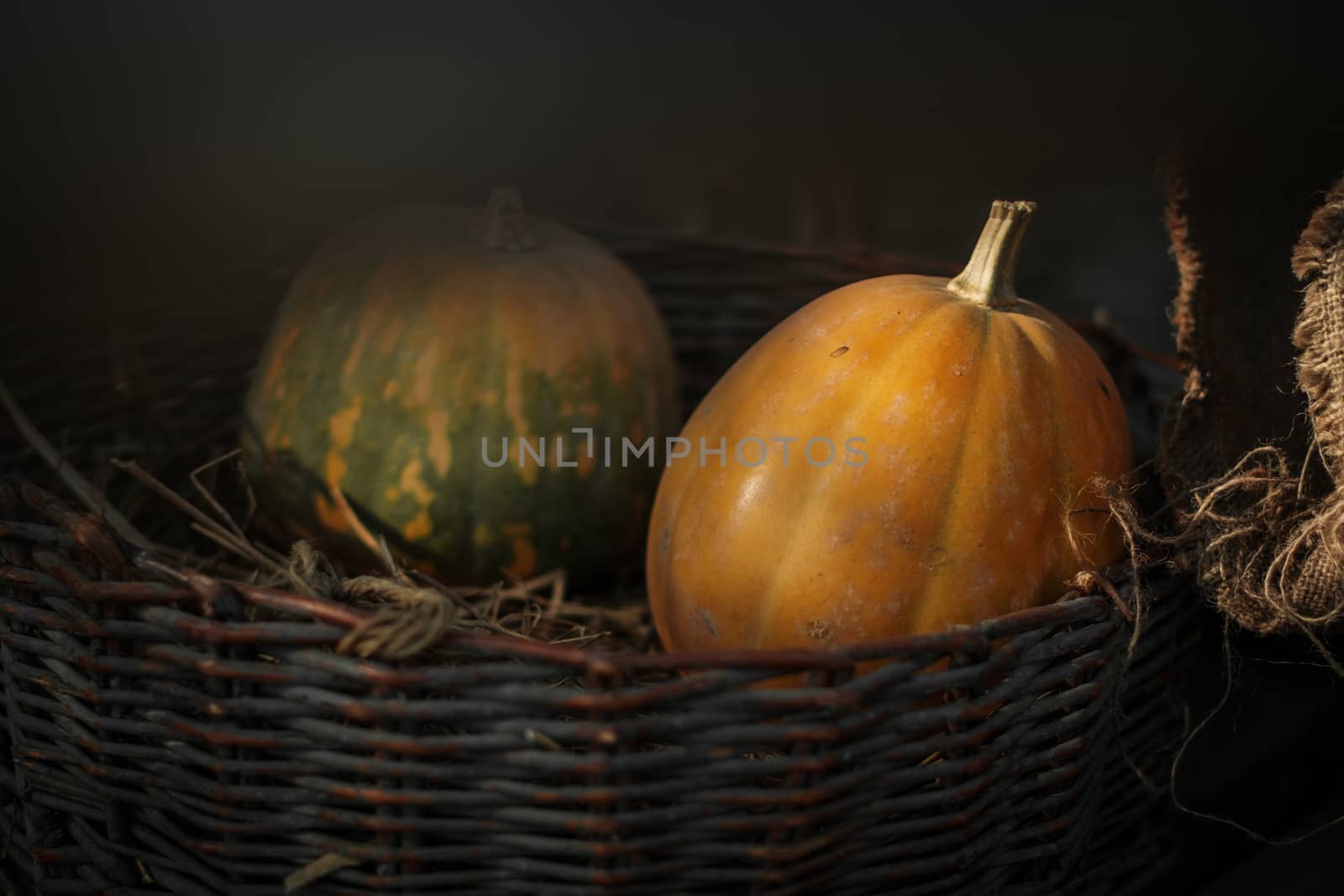 Fresh pumpkins in a basket by snep_photo