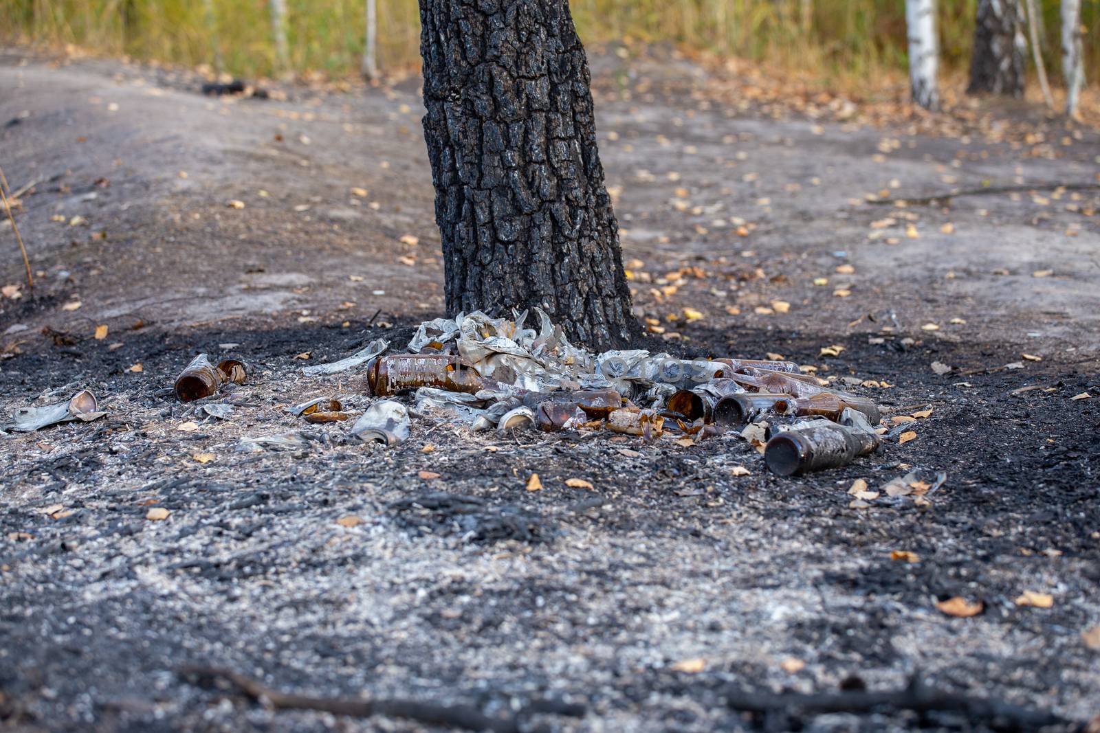 burned pile of trash under tree in forest - close-up with selective focus