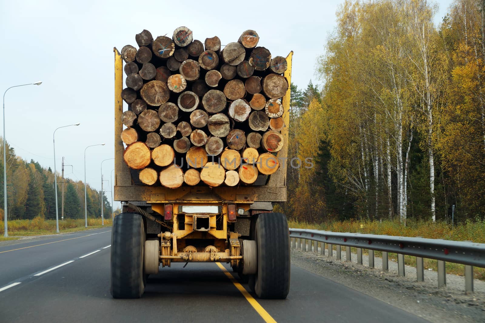 a heavy truck carries logs along the highway, back view