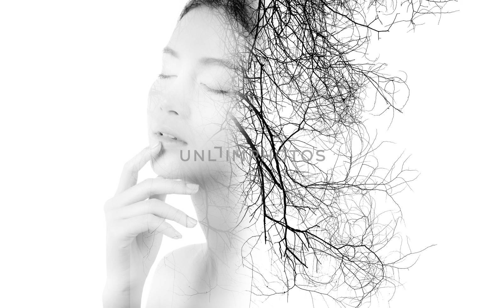 Creative double exposure of portrait beautiful fashion of woman isolated on white background, silhouette of girl with branches of tree, environment concept.