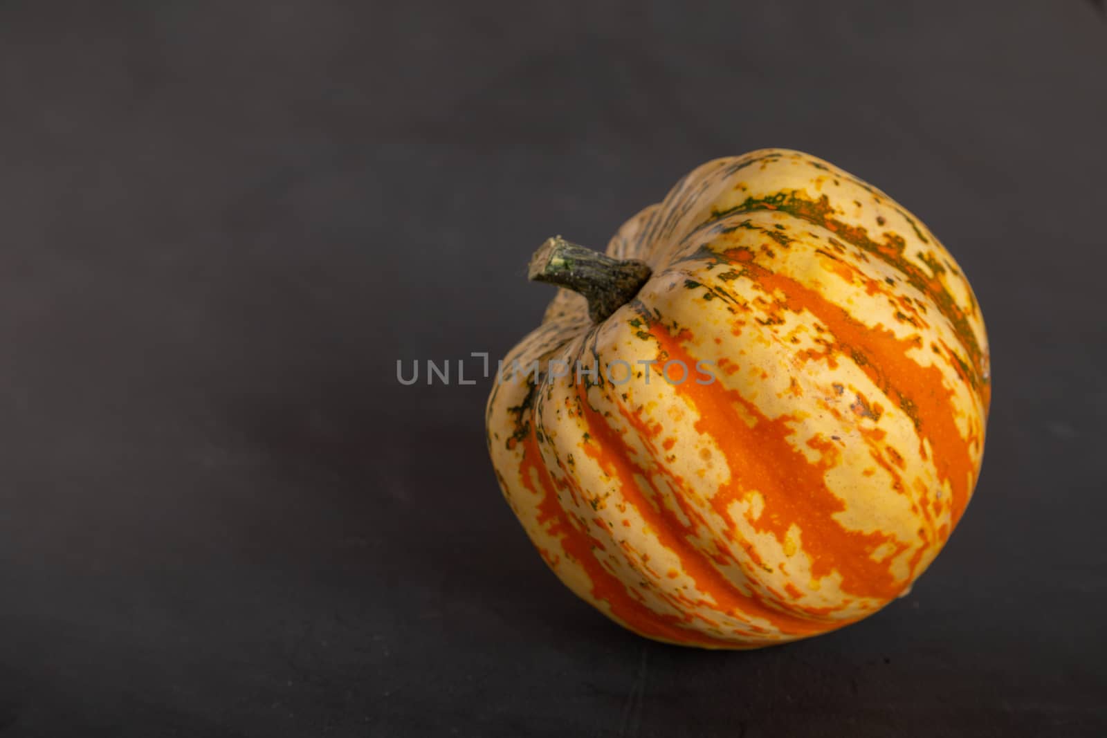 Orange, yellow pumpkin lies on a black background.