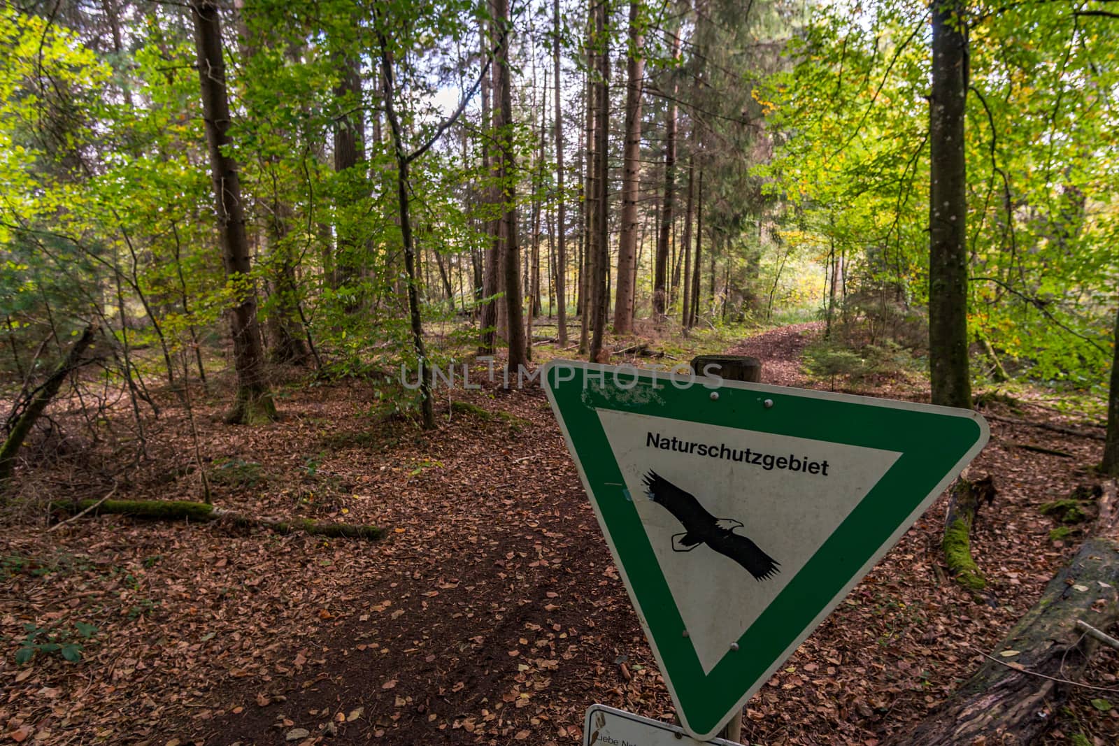 Fantastic hike in the Schrecksee nature reserve in Upper Swabia Germany