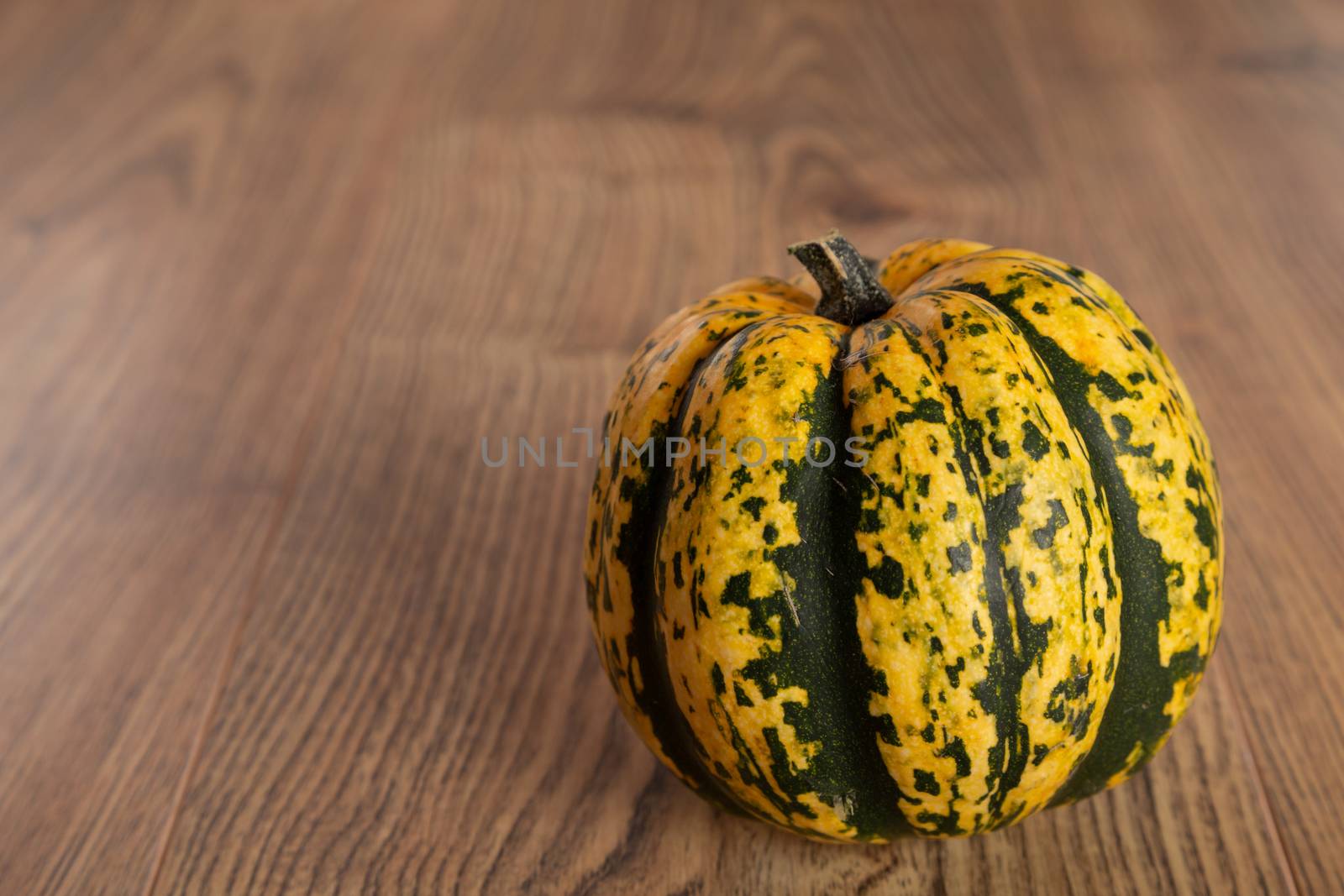 Colored beautiful pumpkin lies on a wooden background by 25ehaag6