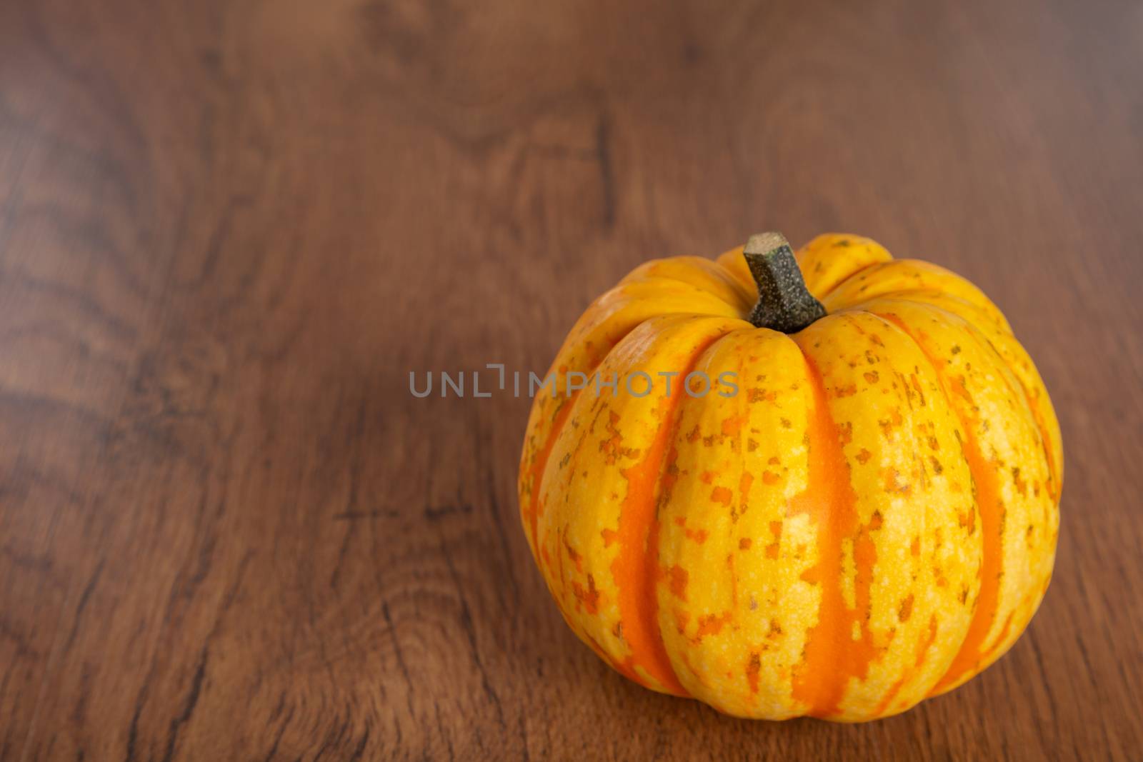 Colored beautiful pumpkin lies on a wooden background by 25ehaag6