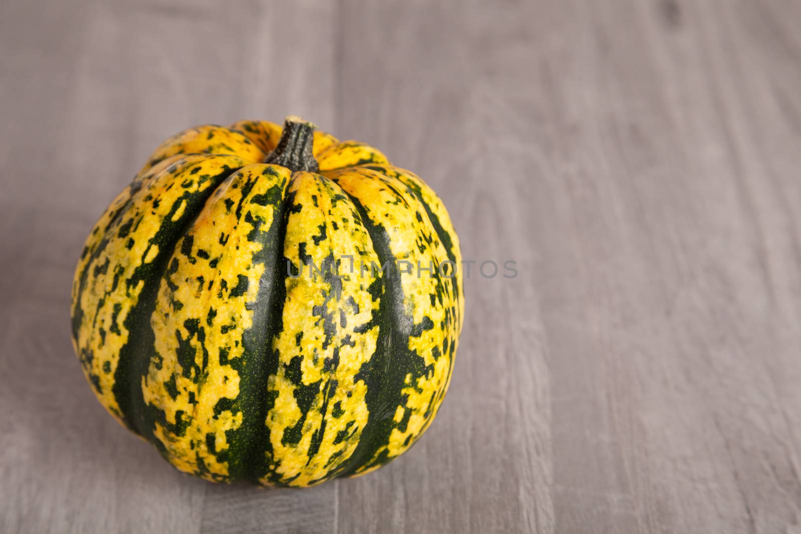 Colored beautiful pumpkin lies on a wooden background by 25ehaag6