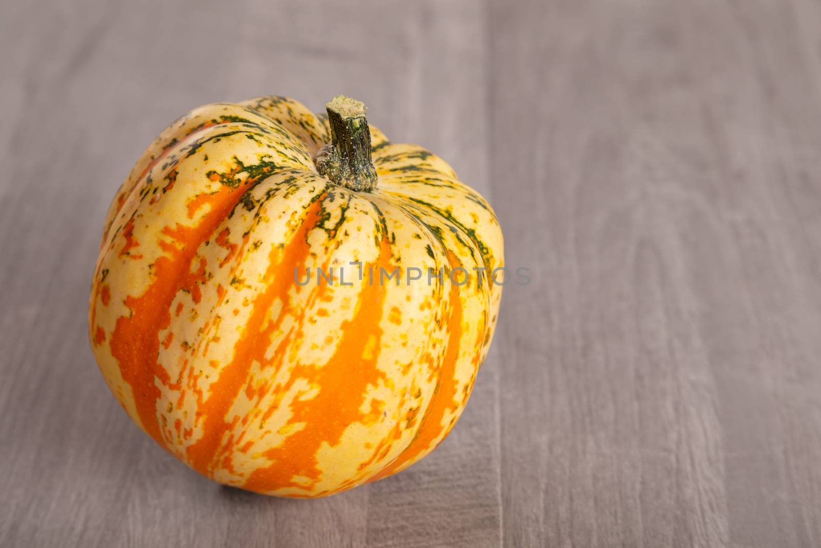 Colored beautiful pumpkin lies on a wooden background.