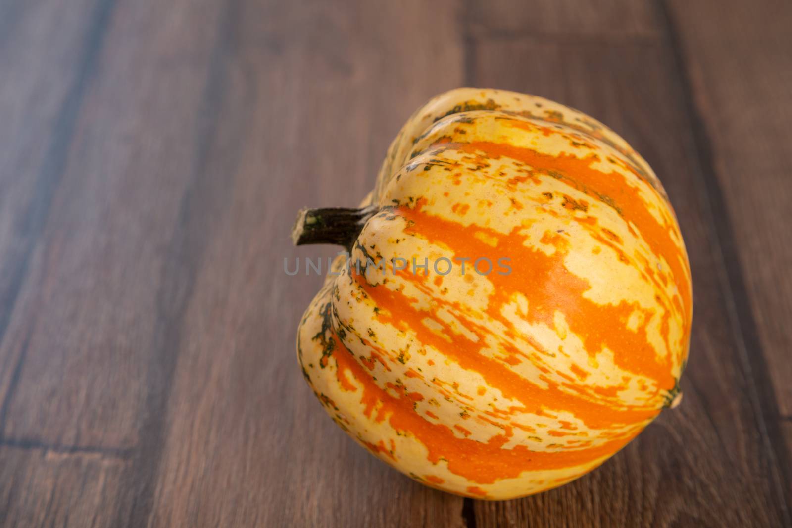 Colored beautiful pumpkin lies on a wooden background.