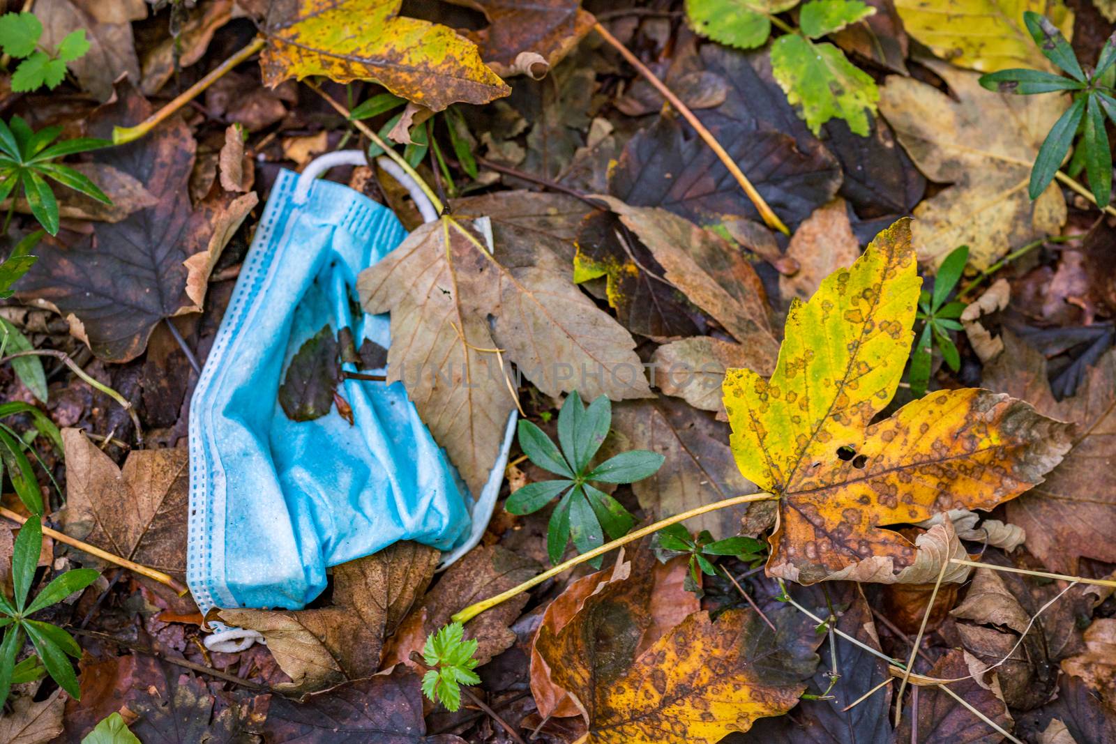 Discarded Corona mask Garbage in the dirt in colorful autumn leaves in Germany Garbage problem