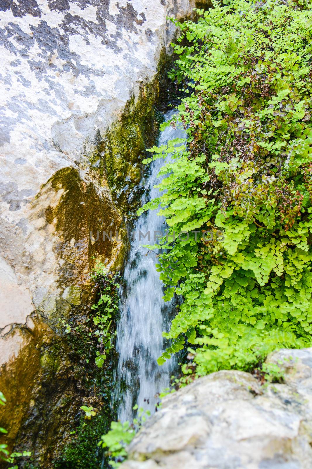 streams and water sources in the mountains