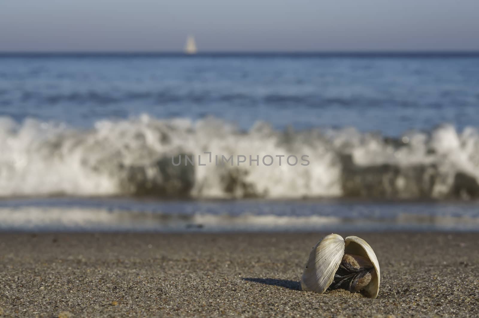 Waves on the Baltic Sea beach
