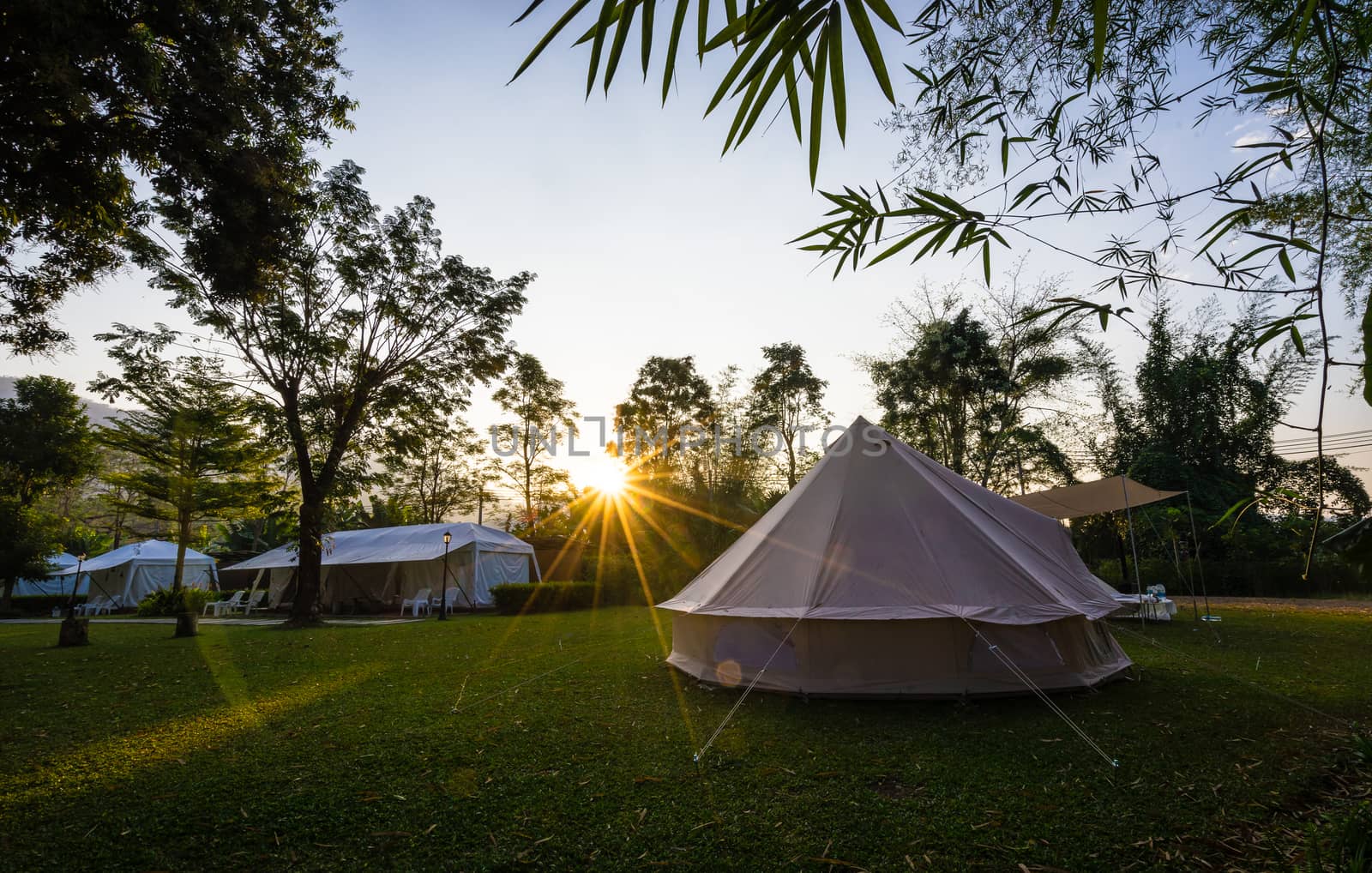 Camping and tent in nature park with sunrise