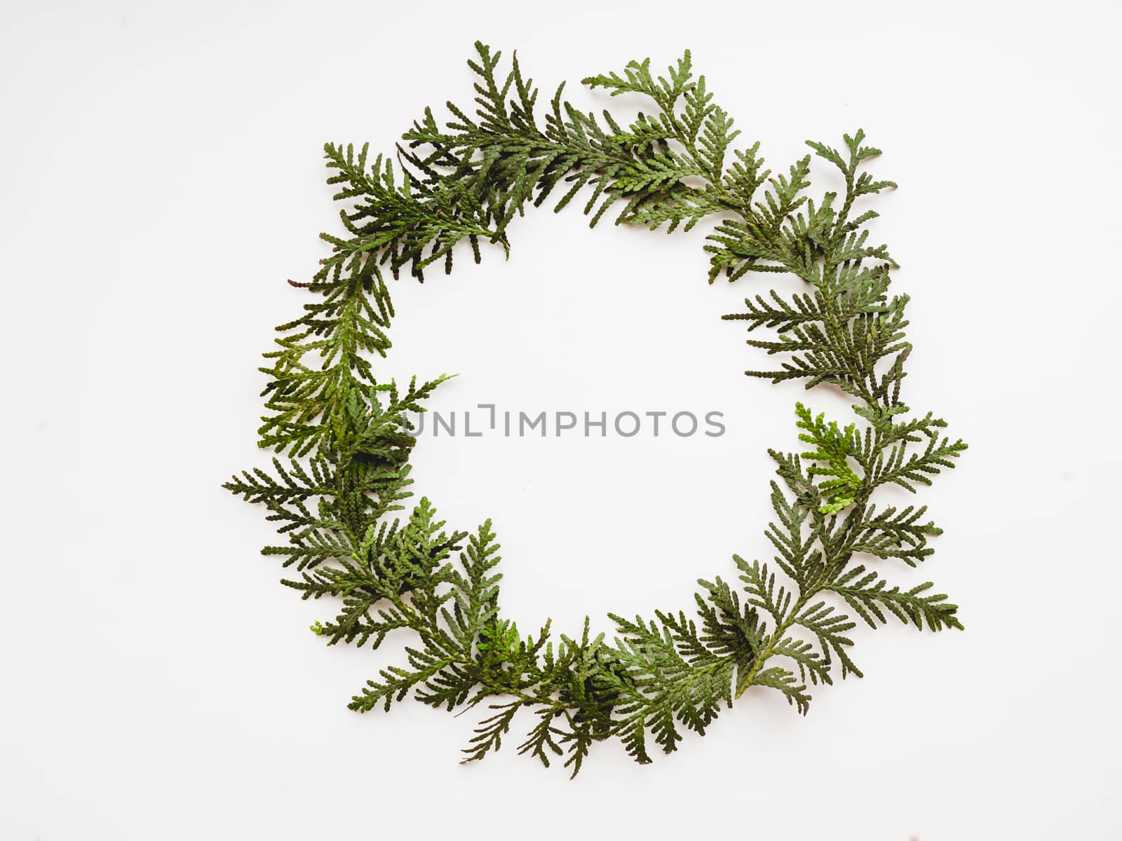 Circle wreath of twigs of thuja. Symbol of Christmas celebration and winter holiday spirit. New Year white background. Festive backdrop with copy space.