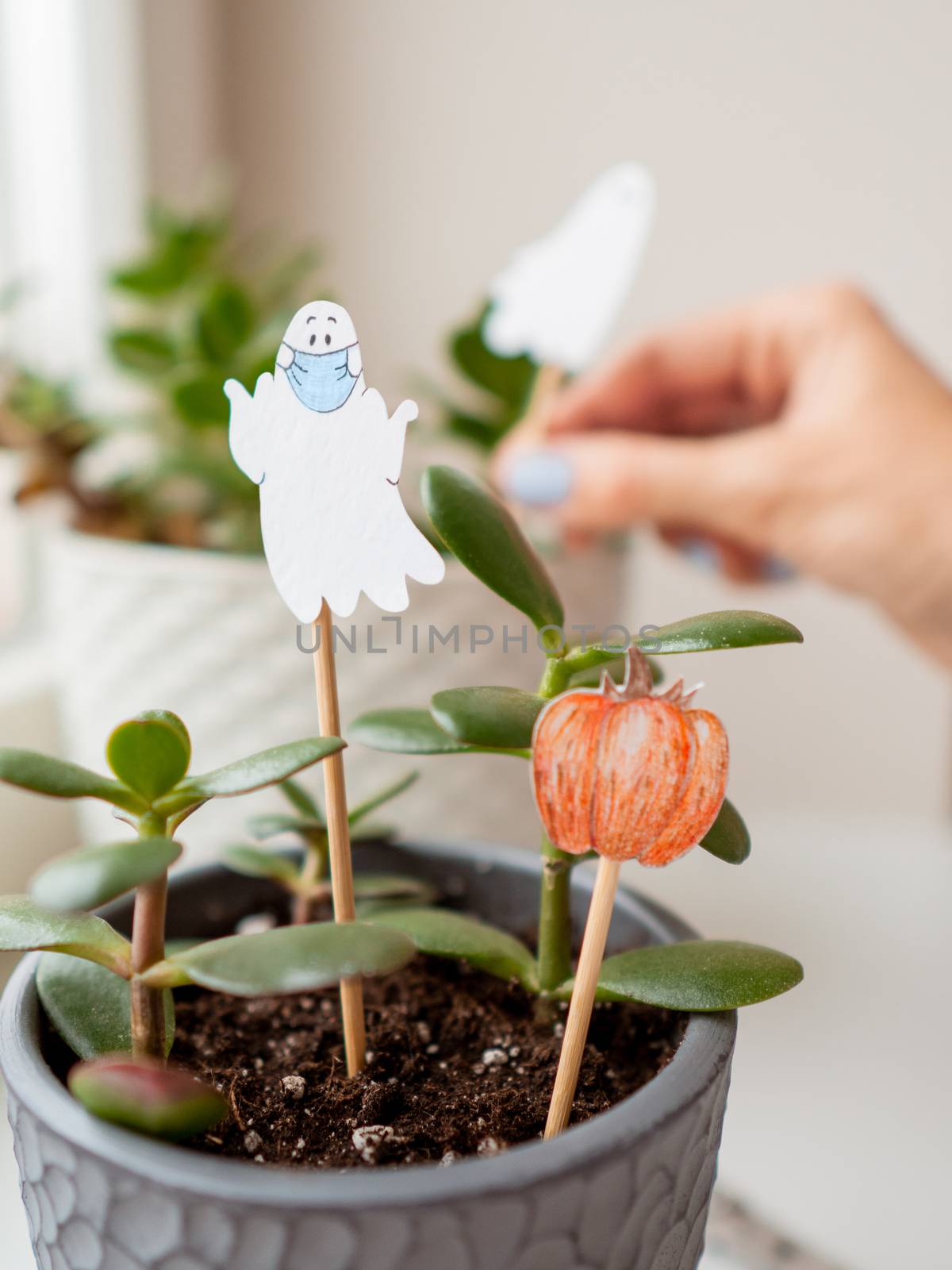 Woman decorates flower pots with handmade decorations for Halloween. Painted ghost in medical protective mask and pumpkin in flower pot with succulent plant.