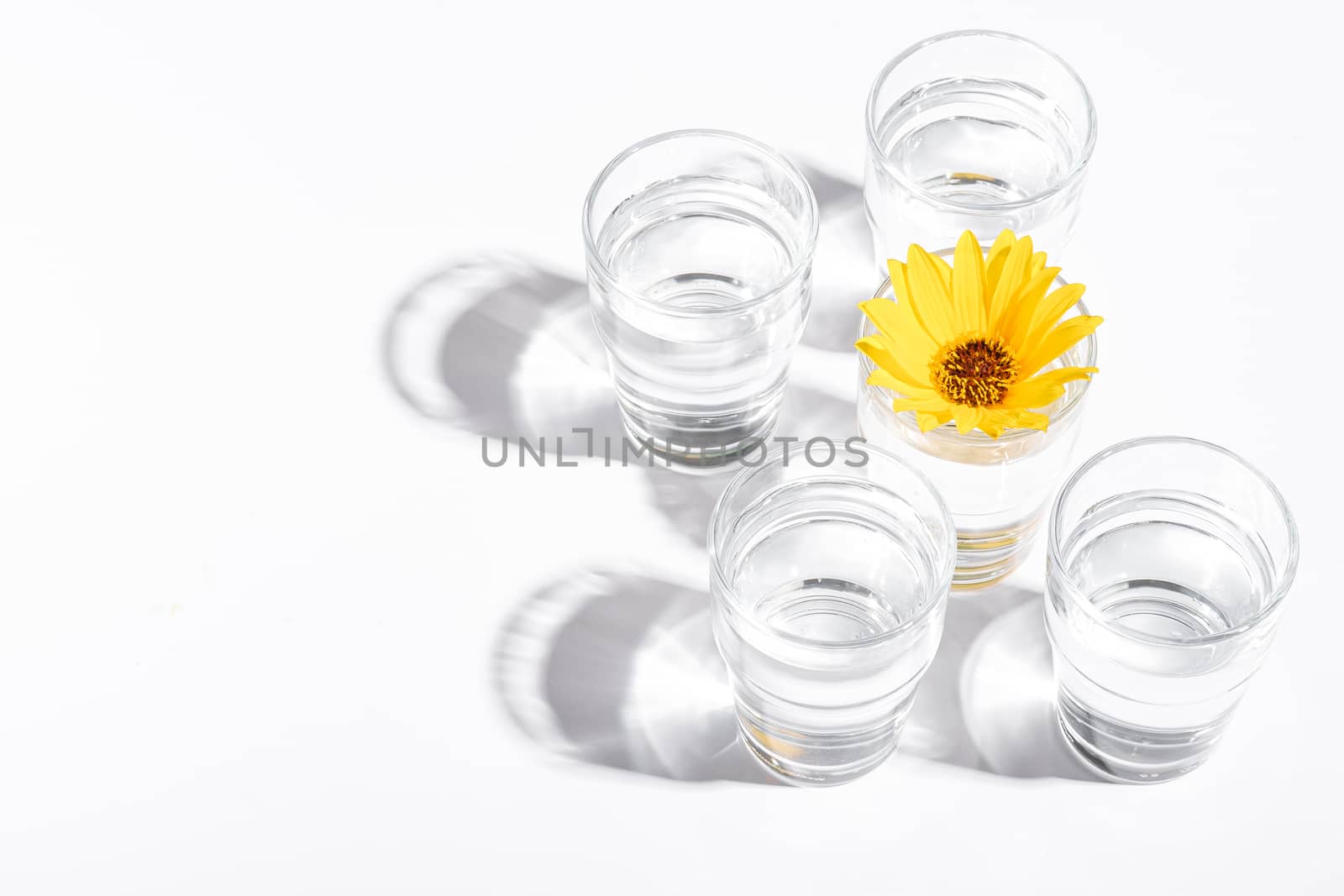 Fresh clear water drink with yellow flower in glass on white background, hard light creative composition, angle view copy space