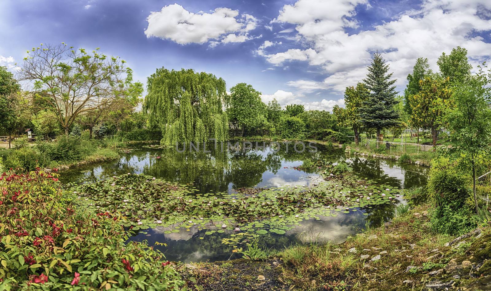 Idillic small pond in the forest by marcorubino