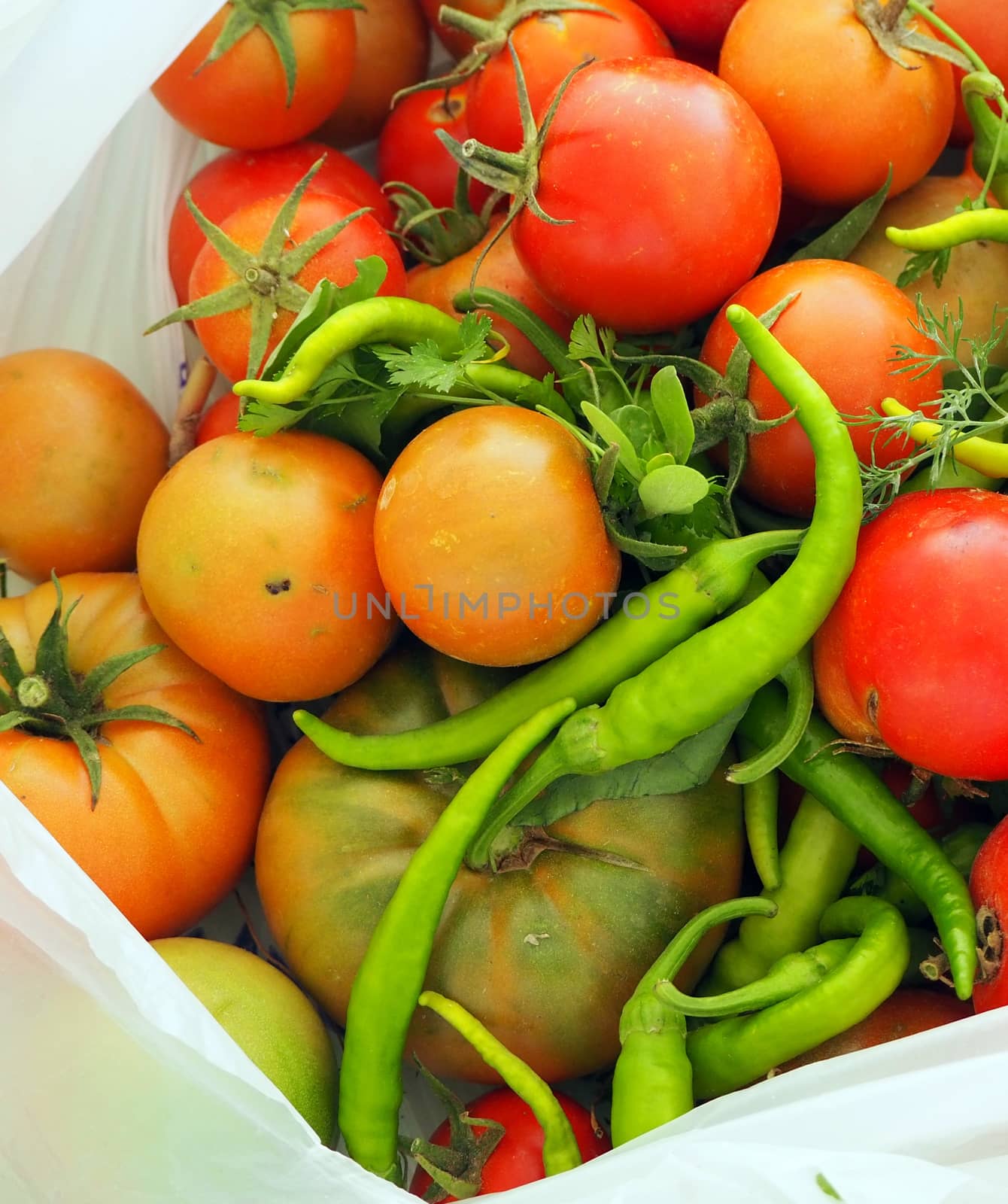 a bag full of natural tomatoes, freshly picked tomatoes and peppers from the garden,