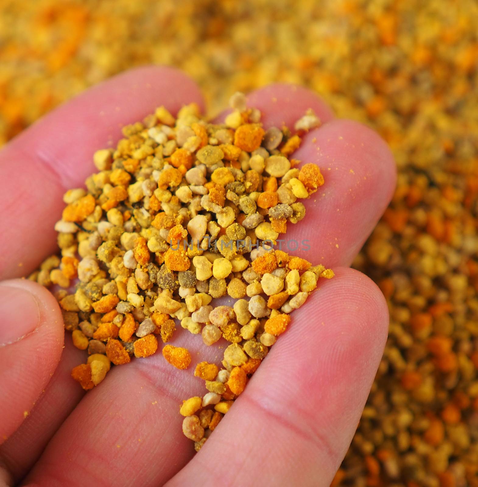 a lot of close-up flower pollen,fresh bee pollen, natural vitamin source, empowering bee pollen,