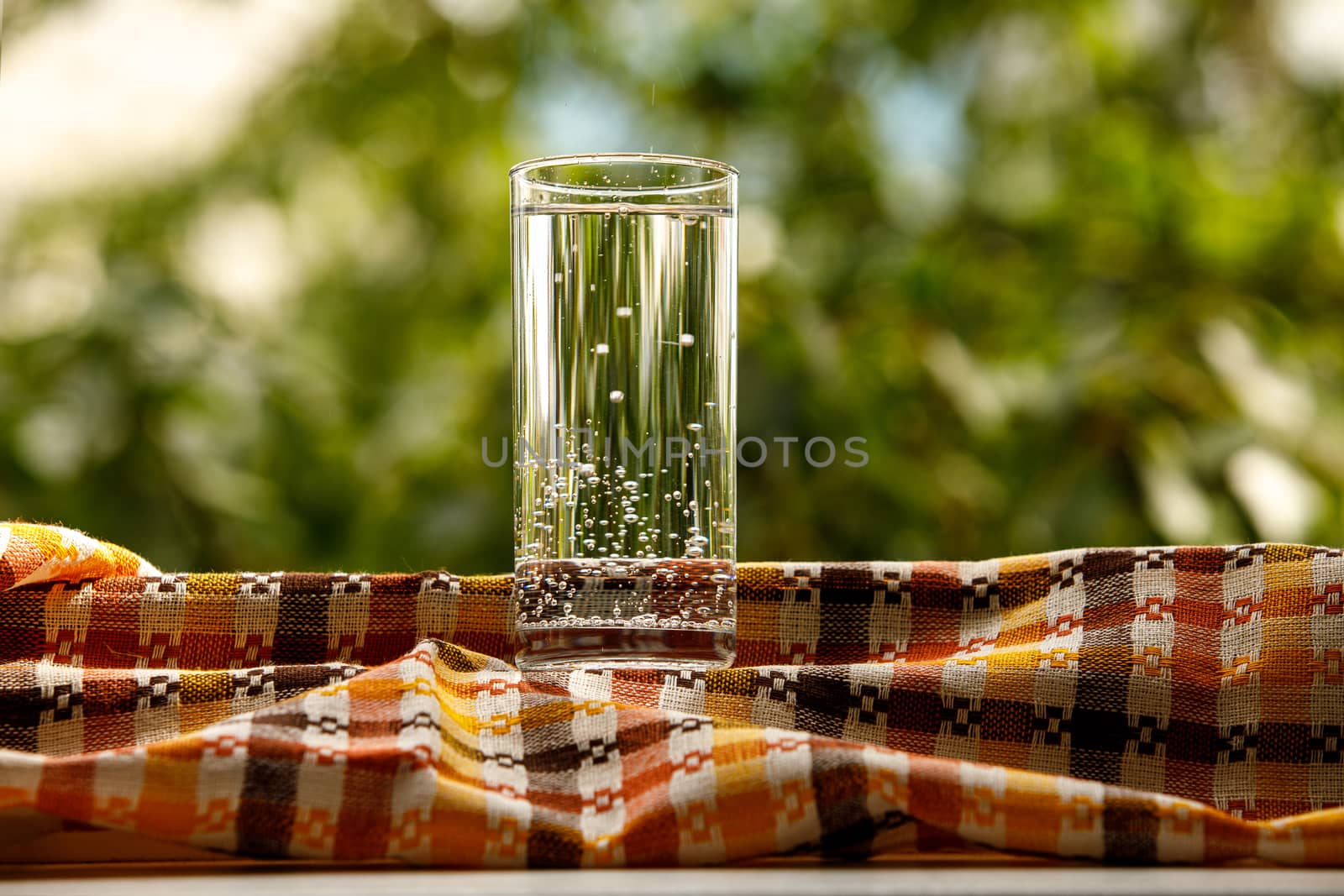 A glass of water in the garden background