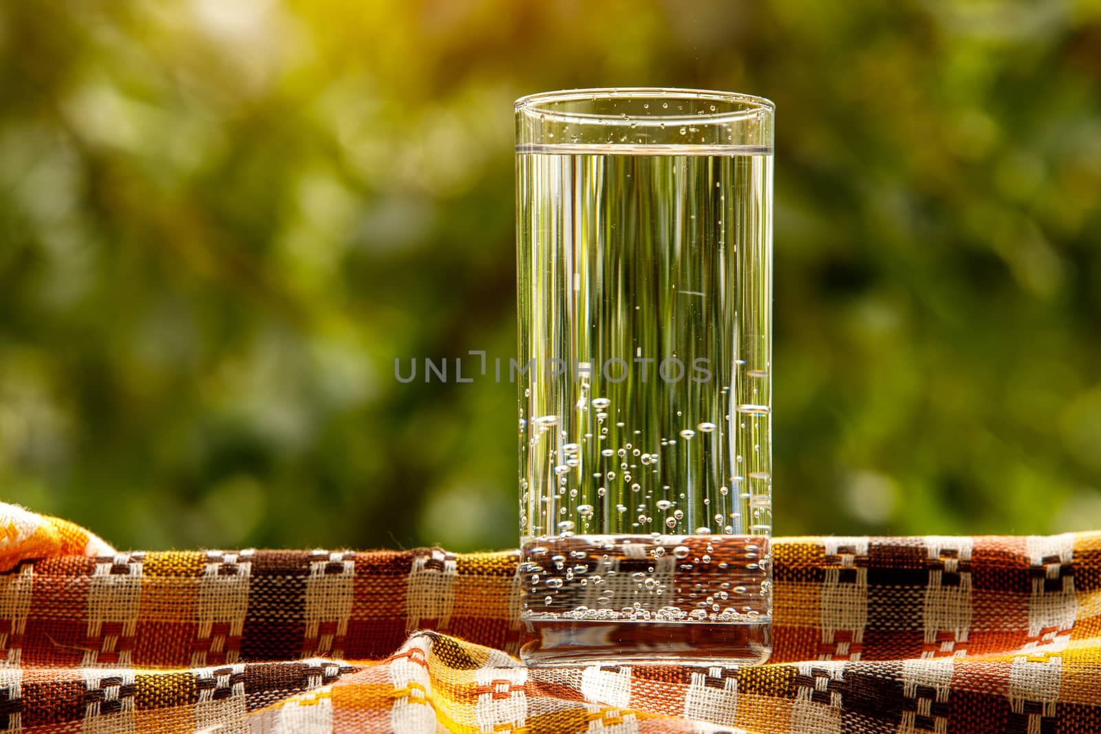 A glass of water in the garden background