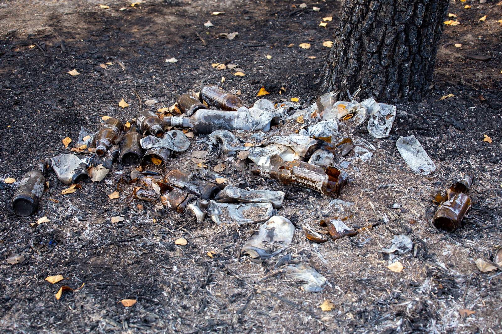burned pile of trash under tree in forest - close-up with selective focus
