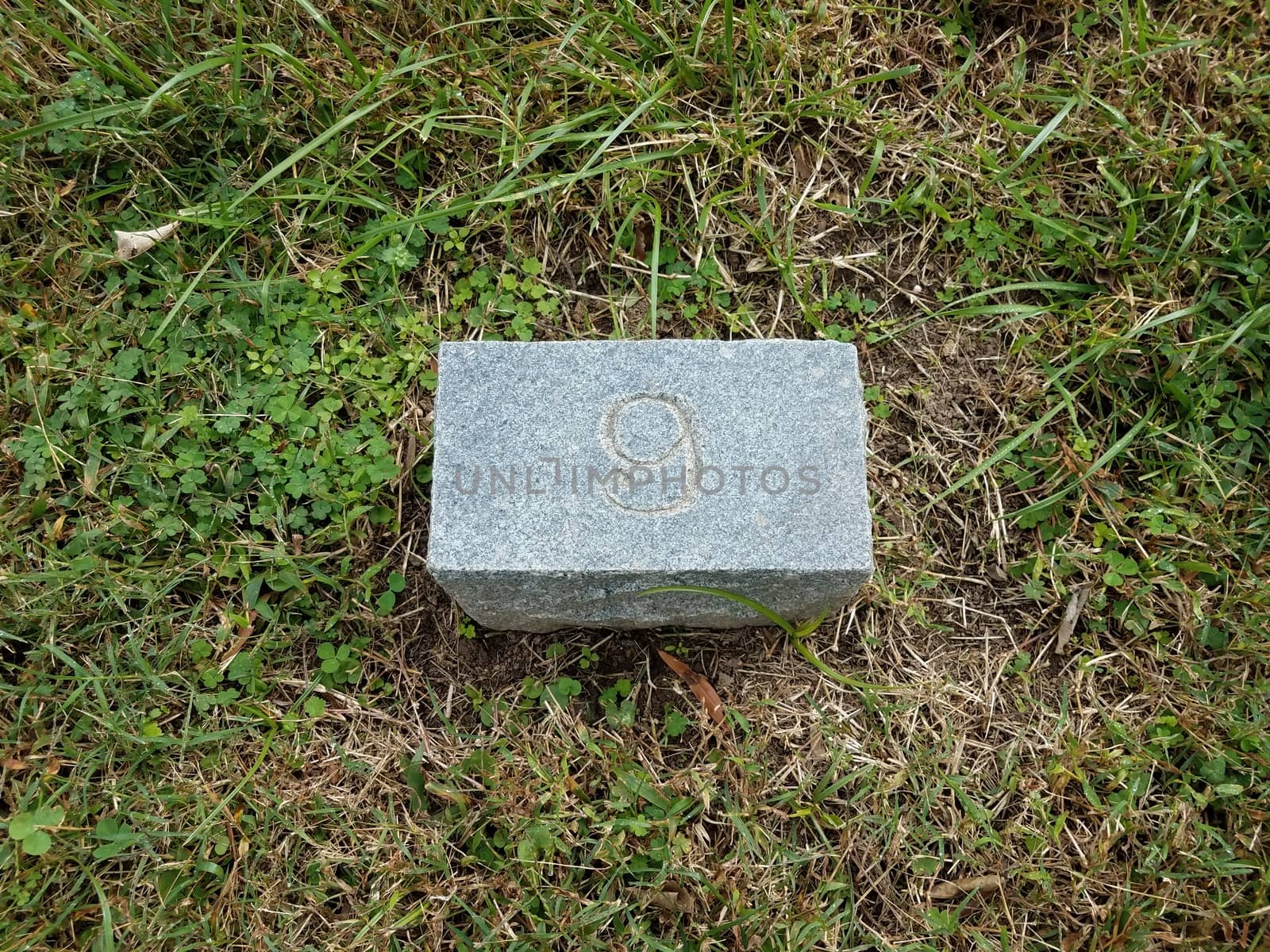 grey stone with number nine in green grass