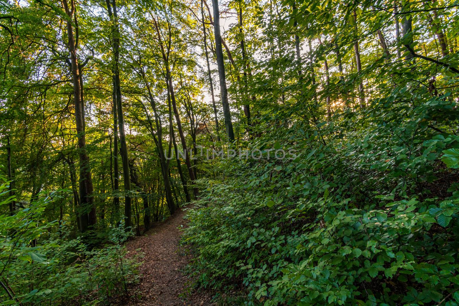 Hike at the golden hour to the famous Heidenhoehlen near Stockach on Lake Constance by mindscapephotos