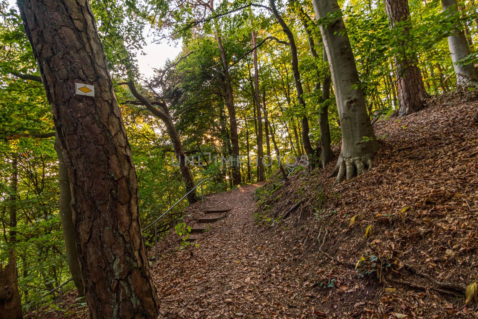 Hike at the golden hour to the famous Heidenhoehlen near Stockach on Lake Constance by mindscapephotos