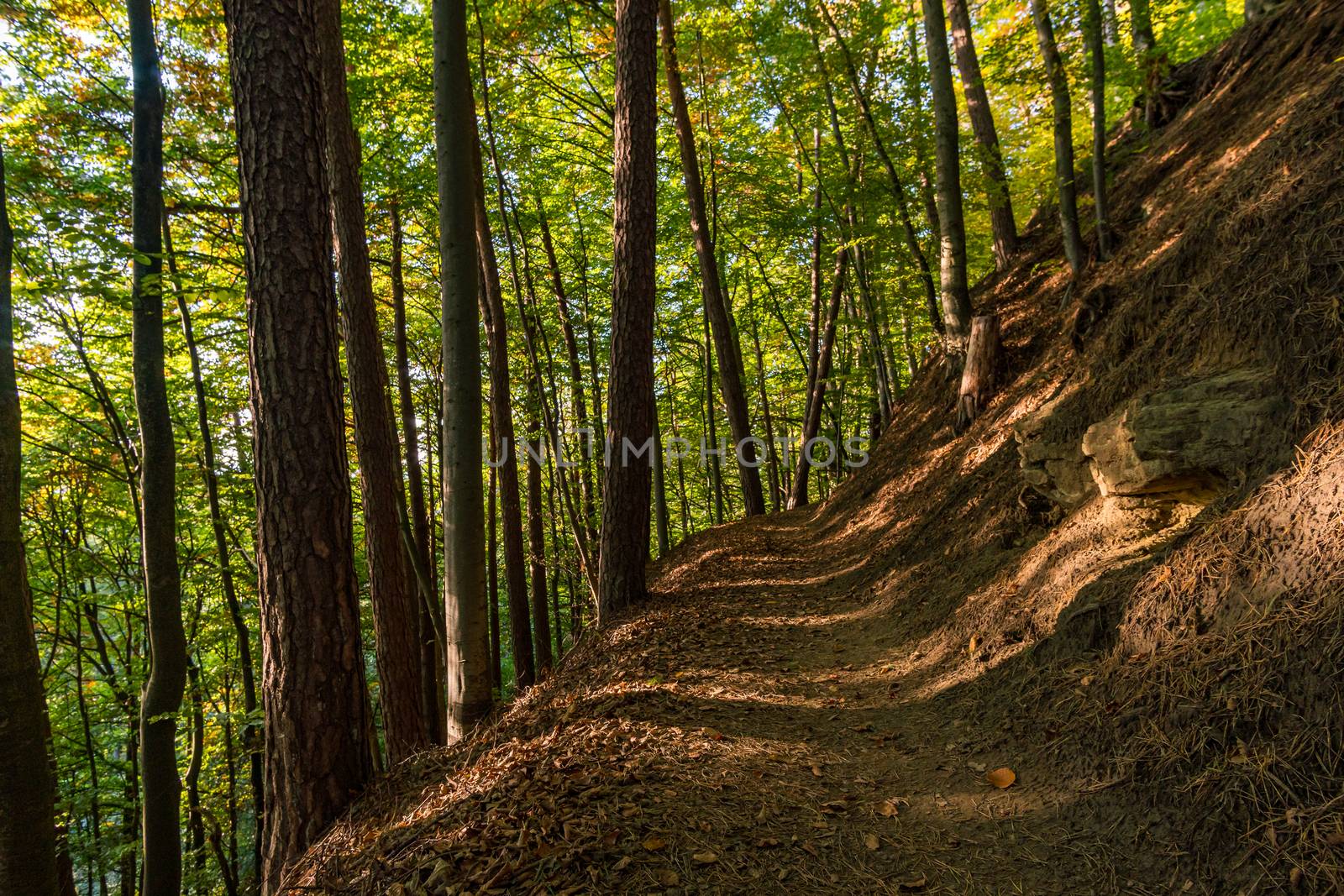 Hike at the golden hour to the famous Heidenhoehlen near Stockach on Lake Constance by mindscapephotos