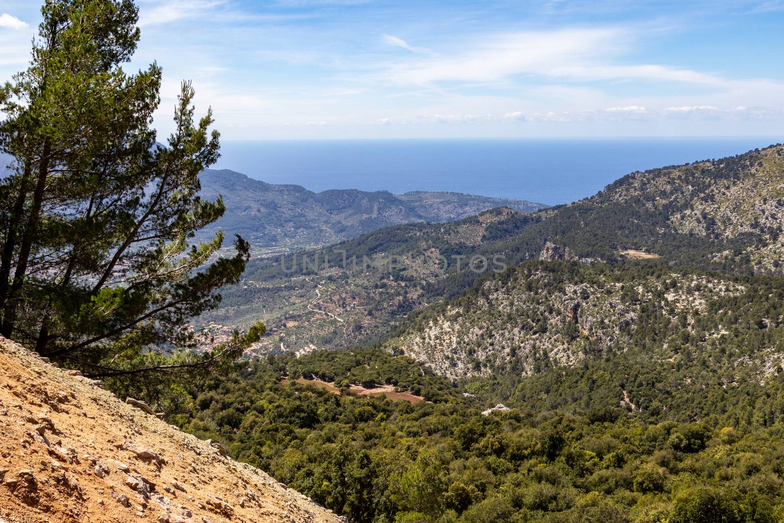 Scenic View at the city Soller on Mallorca, Spain by reinerc