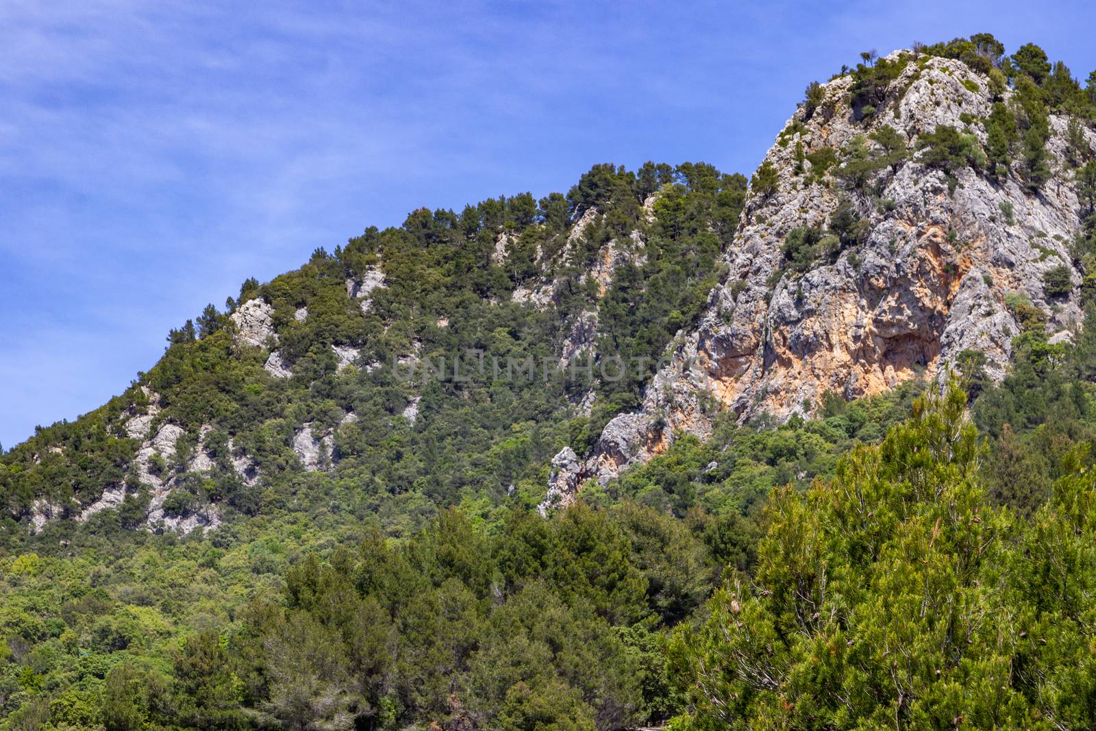 View at landscape on Mallorca, Spain by reinerc