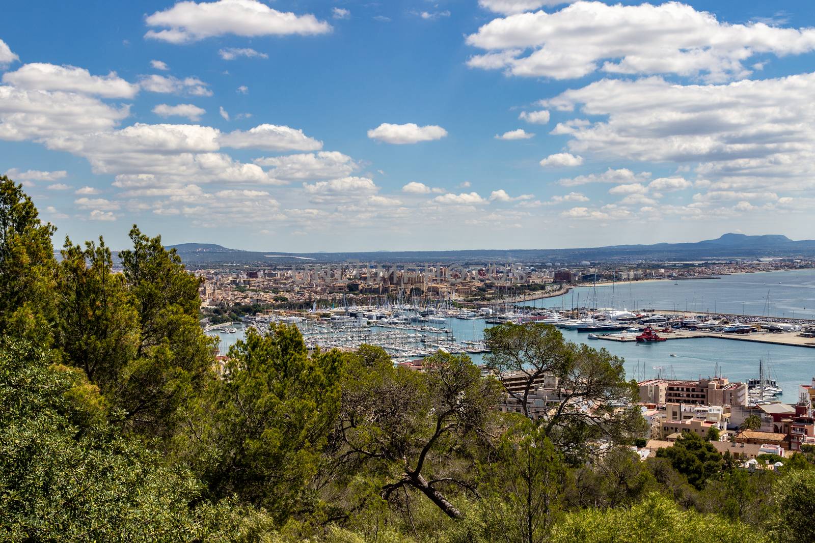 Panoramic view at Palma de Mallorca, Spain by reinerc