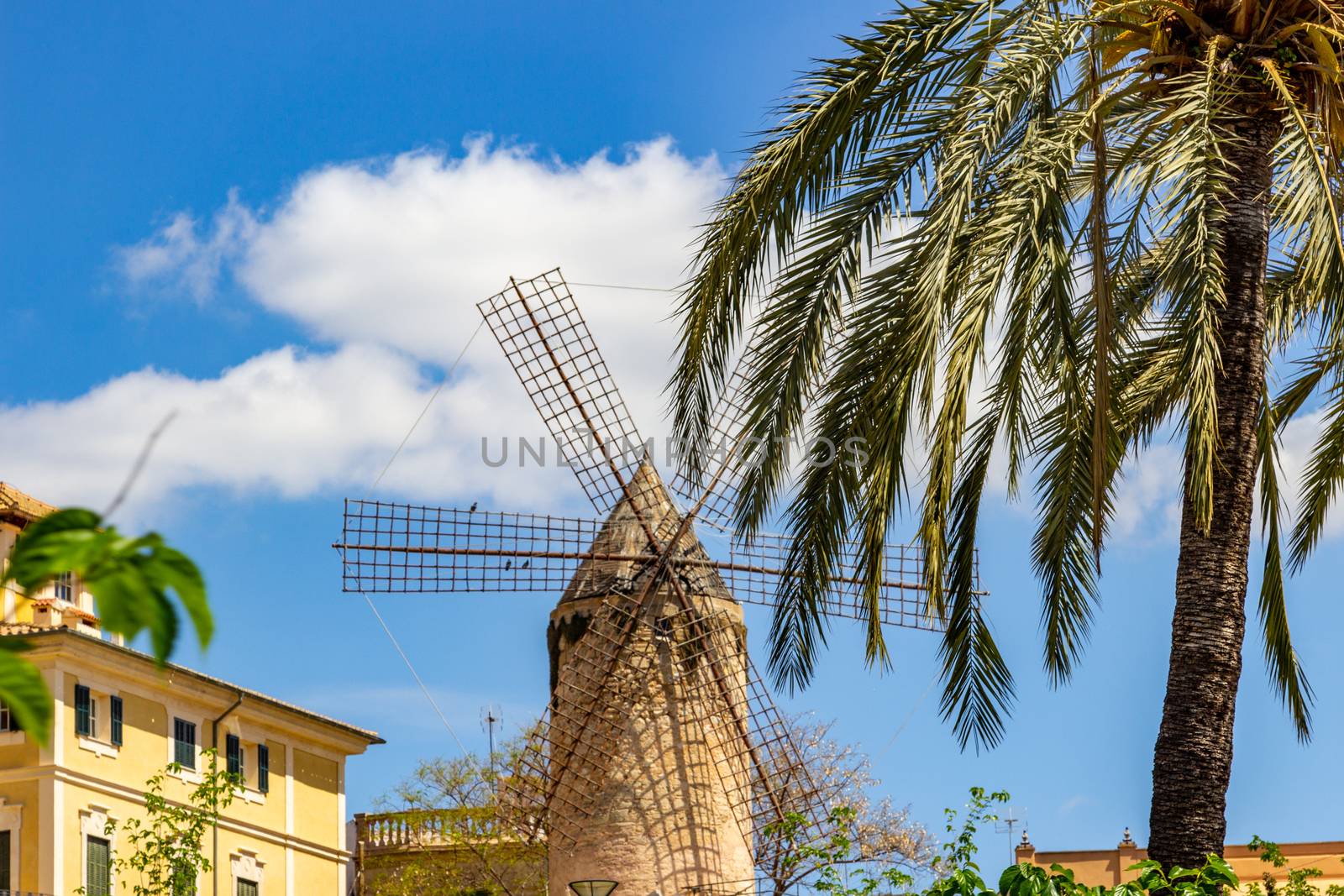 Windmill in Palma on balearic island Mallorca, Spain on a sunny day with palm trees in front