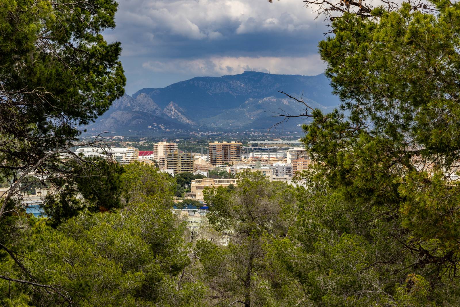 Scenic view at Palma de Mallorca, Spain by reinerc