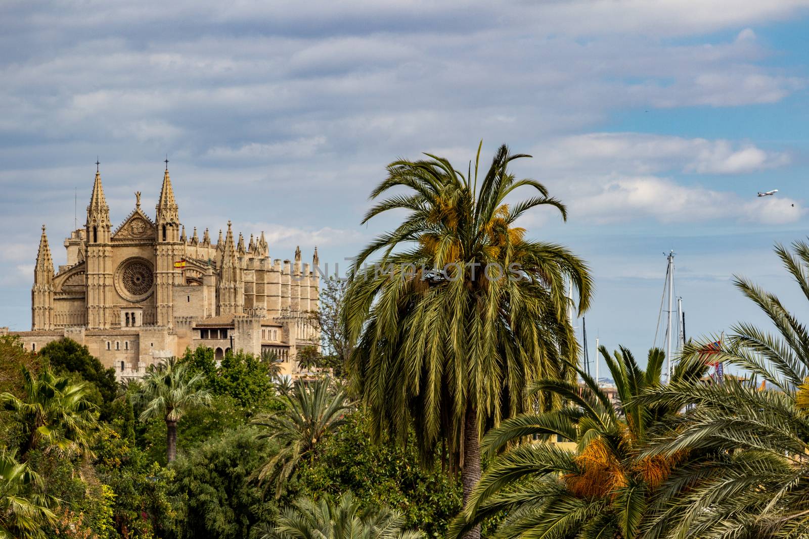 Cathedral La Seu in Palma on balearic island Mallorca, Spain on a sunny day