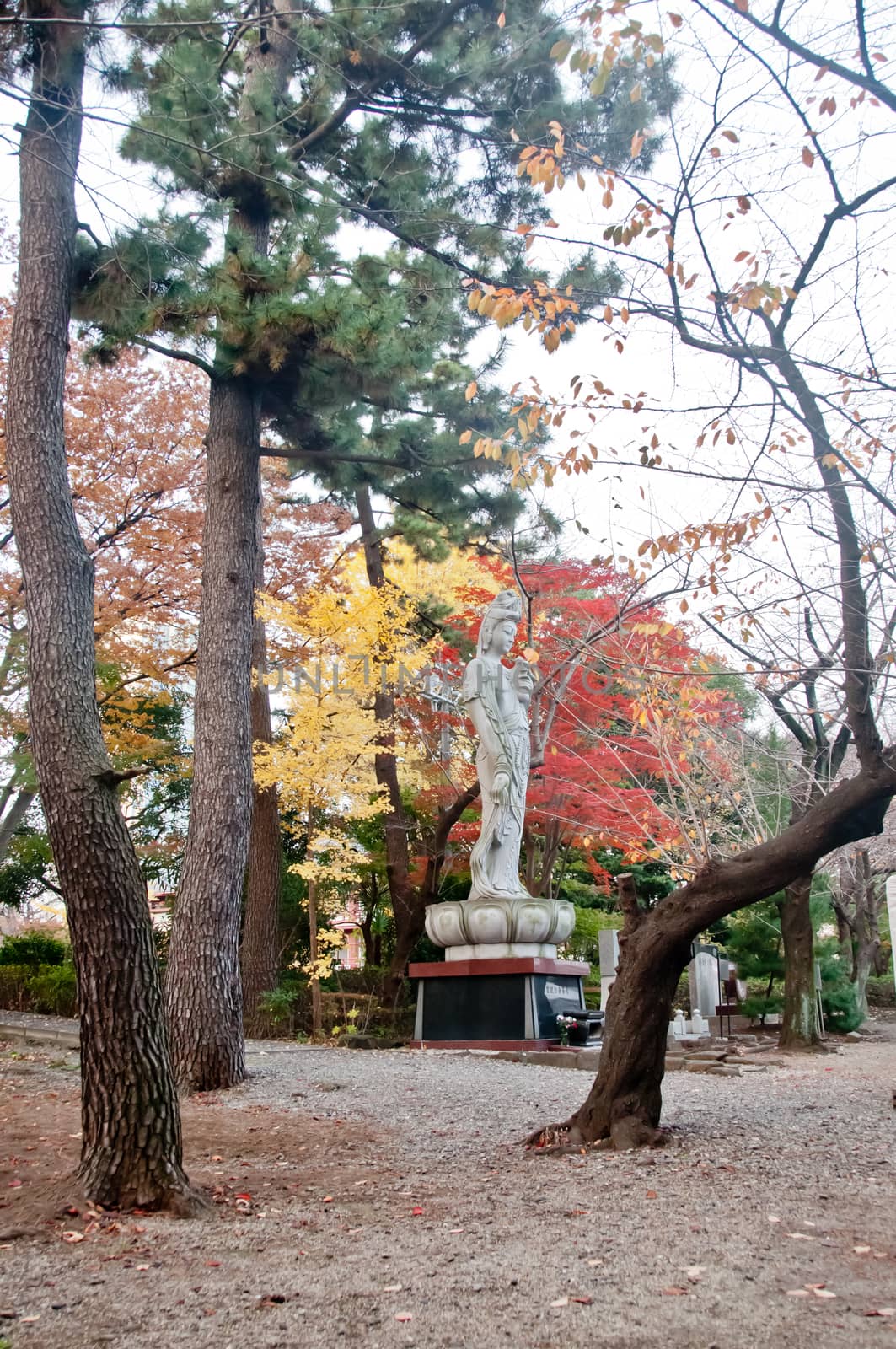 TOKYO, JAPAN - DECEMBER 1, 2018: Zojo-ji Budhist temple. This is by eyeofpaul