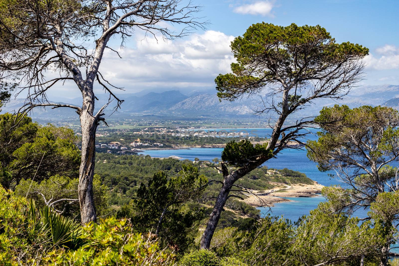 Scenic view from the peninsula La Victoria, Mallorca 