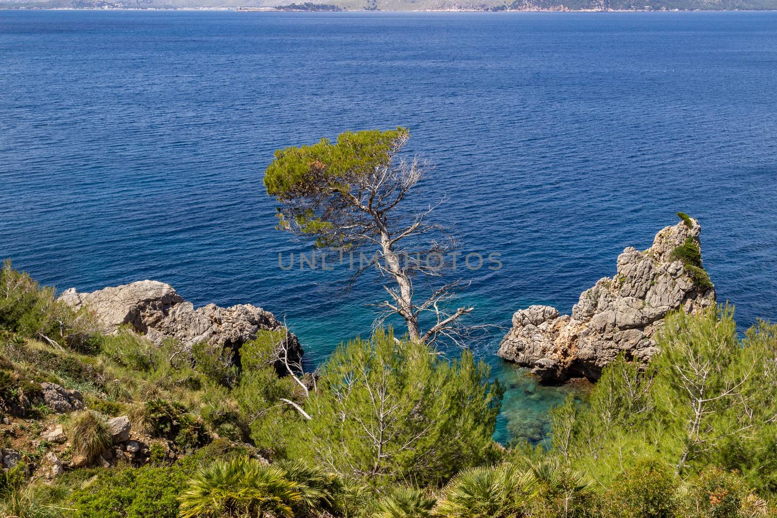 Bay on the peninsula La Victoria, Mallorca with rock in the water and rocky coastline