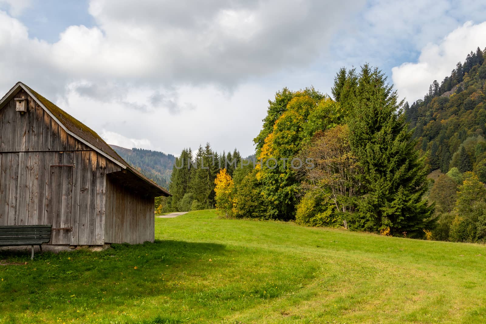 Landscape with wooden cottage, green meadow, multi colored trees by reinerc