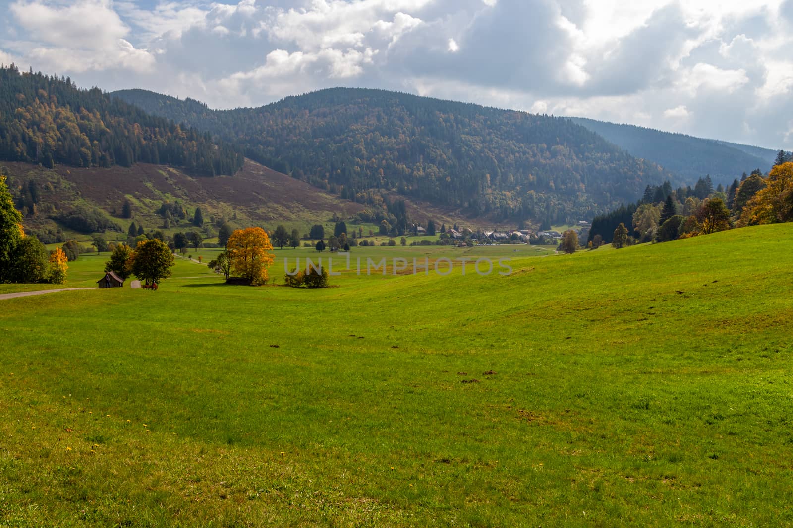 Landscape with green meadow, multi colored trees, mountain range with forest nearby Menzenschwand, Black Forest, Germany