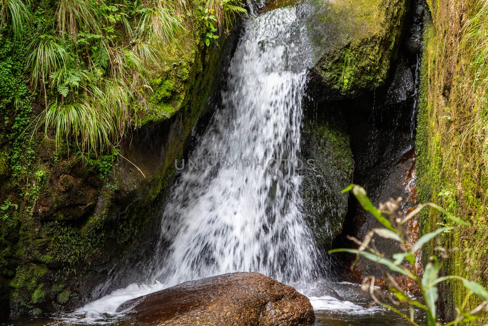 View at waterfall nearby Menzenschwand, Black Forest, Germany by reinerc